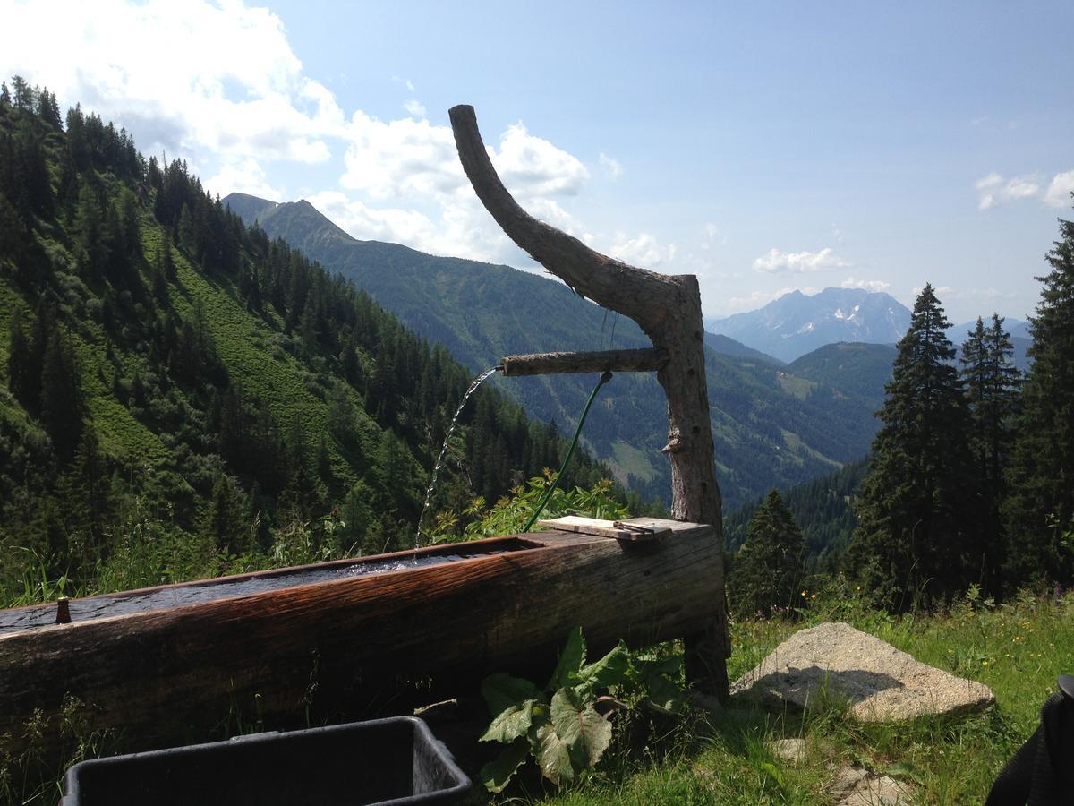 Alpengasthof Grobbauer Rottenmann Ngoại thất bức ảnh